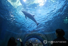 울산 고래생태체험관 시설 공사로 내달 30일까지 휴관