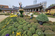 국화야! I want(원) you(주)