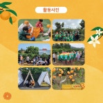 제주 감귤박물관으로 귤빛 놀빛 가을소풍 떠나요