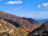 만산종합상사 | 만산홍엽