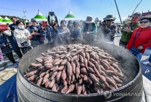 대형 가마솥에서 찐 원주 치악산 고구마