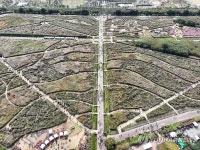 하늘공원 뒤덮은 가을 억새