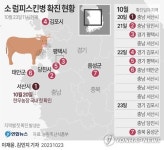 [연합시론] 방역인력 부족 속 가축전염병 확산, 근본대책 세워야