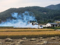 럼피스킨 확산 막아라…서산시 방역 총력