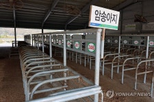 럼피스킨병 확산에 가축시장 폐쇄