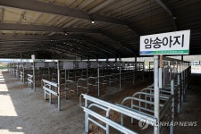럼피스킨병 확산으로 가축시장 폐쇄