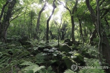 제주도민·방문객 곶자왈, 개발로부터 원형 보존해야