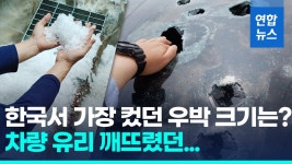 [영상] 동전만한 우박도 겁나는데…한국서 가장 컸던 우박 크기 이 정도