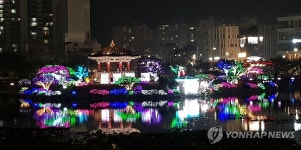 서산 중앙호수공원에 밤마다 밝은 단풍