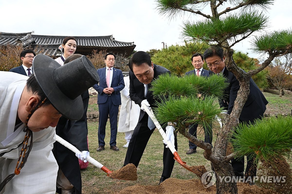 안동 병산서원, 윤석열 기념식수 비석 사라져...현장 파악 중