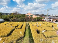 의좋은형제 축제서 느끼는 가을