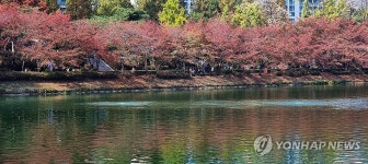 단풍 품은 호수