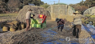 올해도 콩 풍년이로세