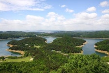 환경단체 충북도, 상수원보호구역 청남대서 독성 농약 사용