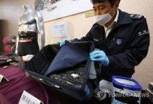 강원, 5년간 마약 밀수 적발 24건…세관 전문 수사 인력은 0명