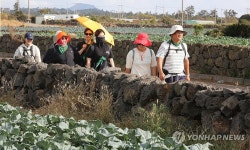 제주 용수포구 향하는 올레꾼들
