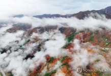 구름 이불 덮은 가을