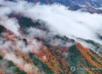 구름 머무는 백두대간