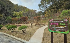 부여 오석산정신요양원에 복지시설나눔숲 조성…주민에게도 개방