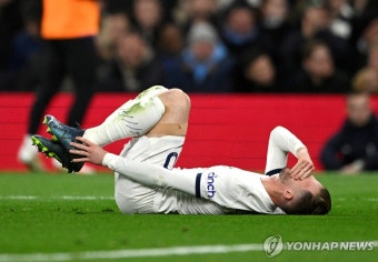 '불의의 부상' 토트넘 핵심 매디슨·판더펜, 내년은 돼야 복귀