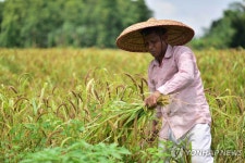 인도 모디 총리 피처링한 노래, 그래미상 후보에 올라