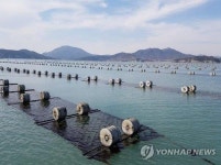 한국 김 수출 7억달러 첫 돌파…세계 120개국으로 시장 확대