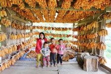 [여행honey] 생존의 몸부림이 빚은 걸작, 베트남 무캉차이 다랑논