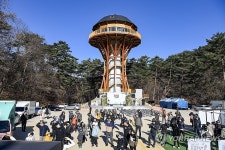 왕의 나무 원주 치악산 황장목 숲길 걷기