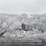 제주의 겨울에서 한 해를 마무리하고 새로 시작한다