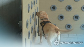 [동정] 김영수 국무조정실 사회조정실장