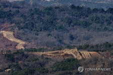 적막한 비무장지대