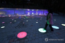 사직 빛의 숲 점등