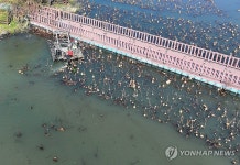 광주 북구 양산제 수질개선 연꽃 수초작업