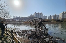 광주 북구 양산제 수질개선 연꽃 수초작업