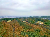 [문화유산] 정조의 사부곡…화성 융릉과 건릉