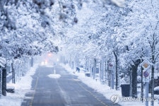 적설량 예민한 스위스 AI 측정기술 개발…신속·정확