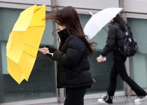 비바람 속 등교