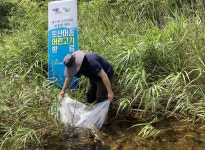 경기도가 생산·방류한 버들치, 가평천에 정착 확인