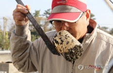 돼지 분뇨로 만든 액비 냄새 맡는 동백팜 고정훈 대표