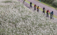 울산 자전거 교통량, 삼산현대아파트 북측 태화강변 가장 많아
