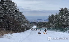 눈썰매장 된 제주 산지