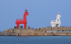 [줌in제주] 제주 이호테우해수욕장 조랑말 등대와 피사의 사탑