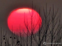 안산에 떠오르는 새해 첫 태양