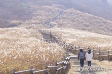 [꿀잼 울산] ① 천혜의 자원 대왕암공원·영남알프스,관광특구로 키운다