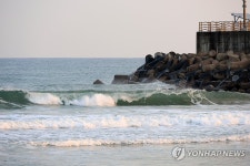 높은 파도