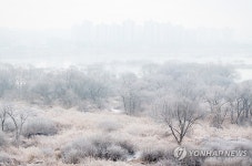 활짝 핀 소양강 상고대