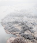 소양강 상고대 활짝