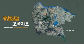 국가중요농업유산 창원 독뫼 감농업 알린다