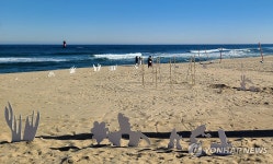 전시 작품 들어선 경포해변