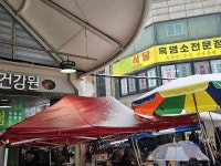 [르포] 개 식용금지법 제정에 성남 모란시장 관련 업소들 한숨